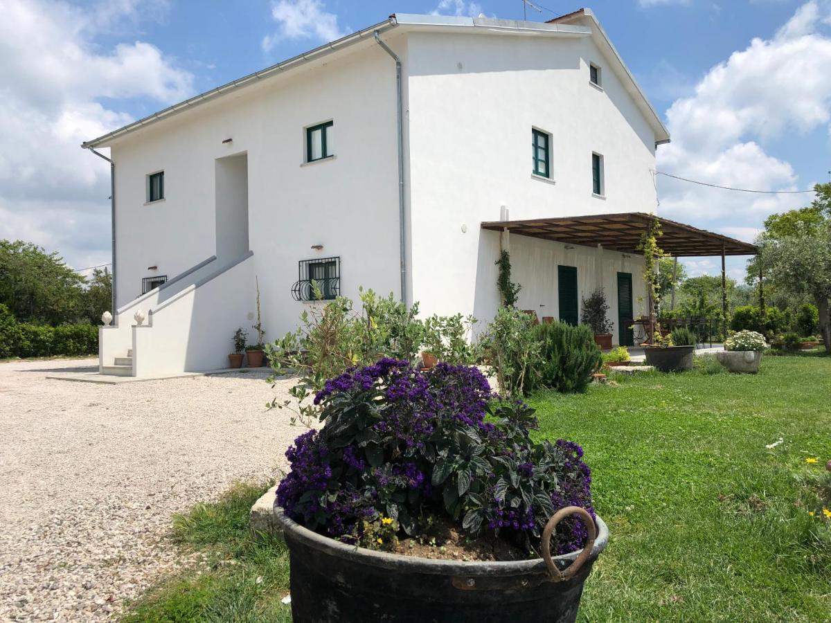 Casa Agricola Scorziello Villa Serre  Exterior photo